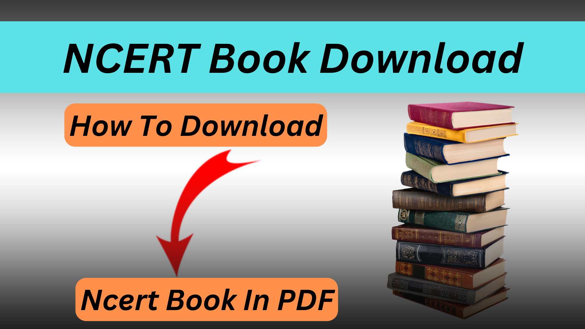 NCERT Book Download In PDF