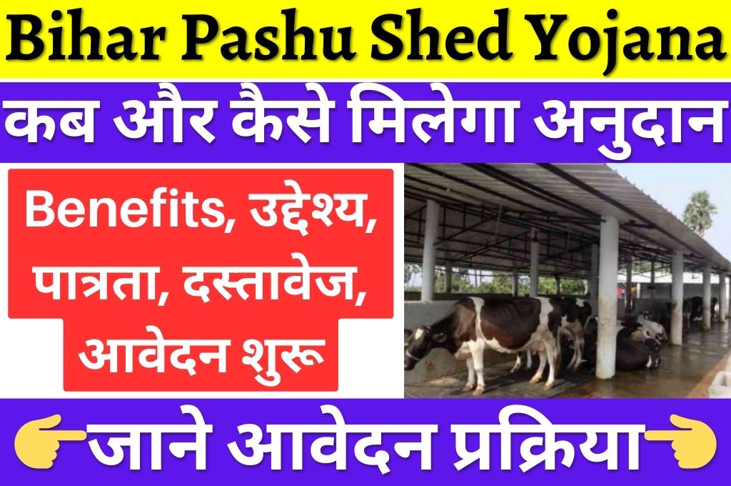 Bihar Pashu Shed Yojana 2024