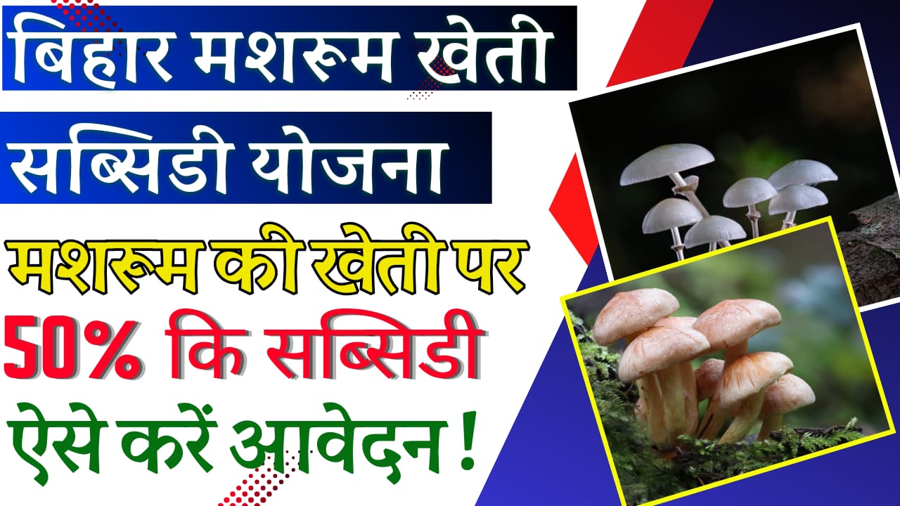 Bihar Mushroom Farming Subsidy Yojana