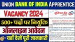 Union Bank of India Apprentice Recruitment 2024